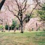 Kyoto, Japan